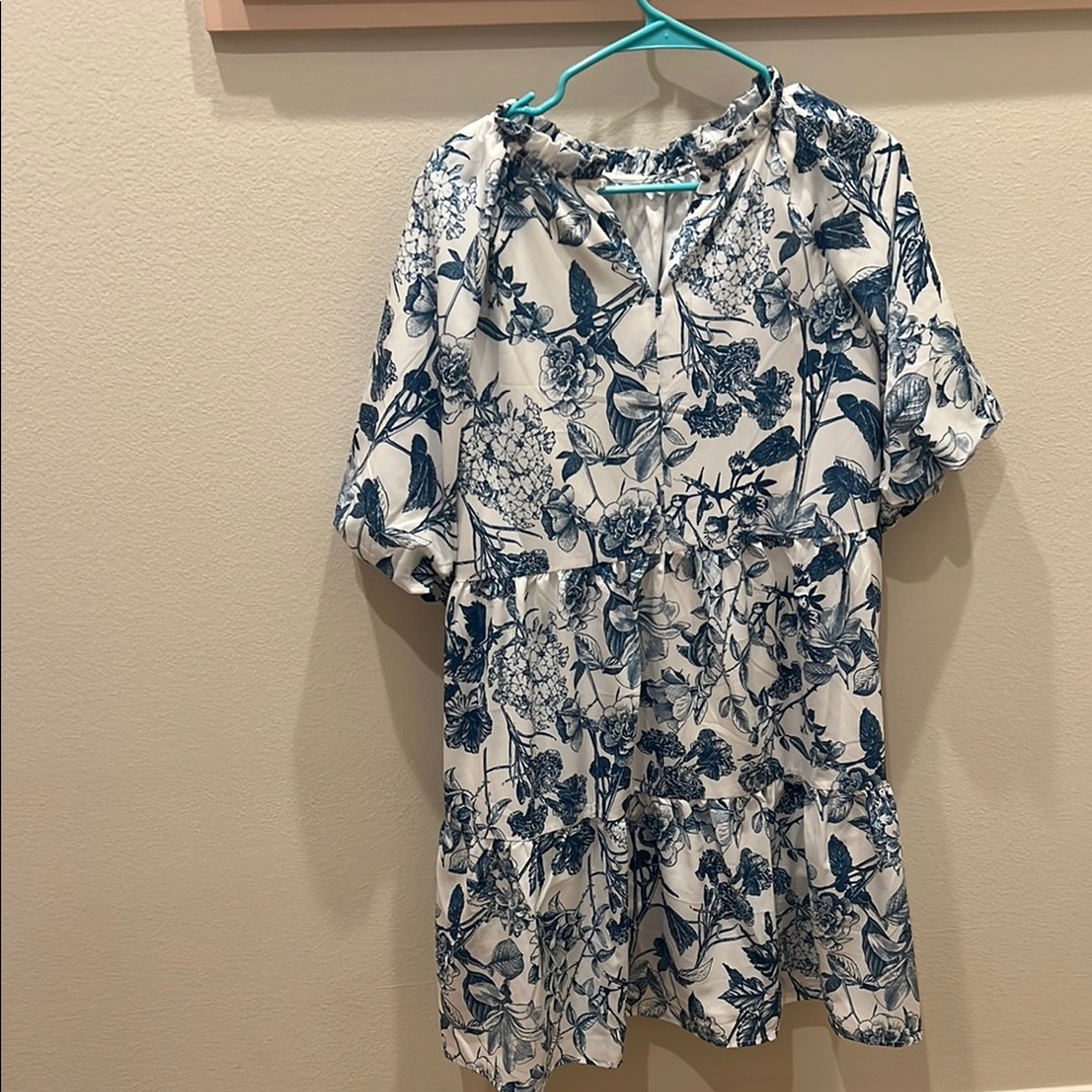 Floral Blue and White Dress